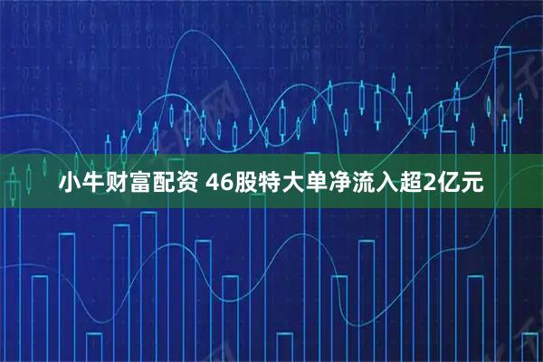 小牛财富配资 46股特大单净流入超2亿元