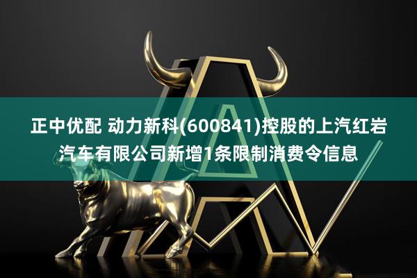 正中优配 动力新科(600841)控股的上汽红岩汽车有限公司新增1条限制消费令信息