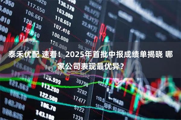 泰禾优配 速看！2025年首批中报成绩单揭晓 哪家公司表现最优异？